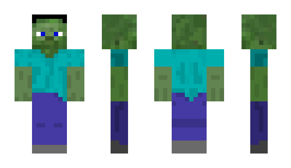 Minecraft skin Captain_W