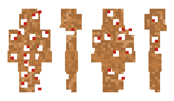 Minecraft skin 2c5