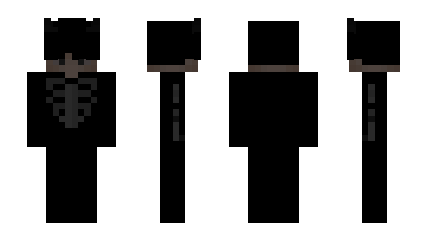 Minecraft skin befragen