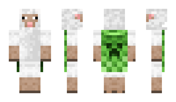 Minecraft skin te7n