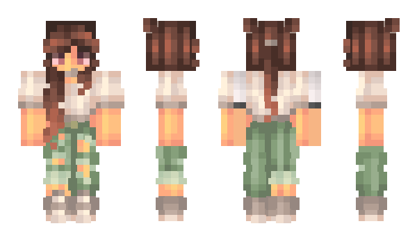 Minecraft skin projectionist