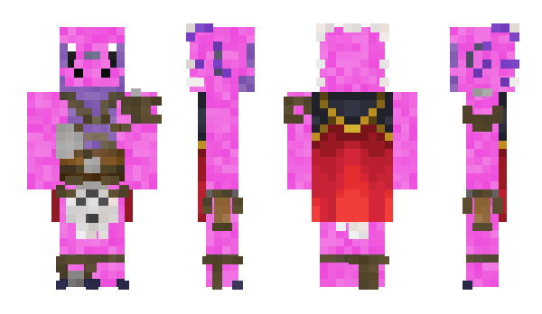 Minecraft skin Para3