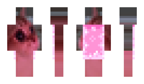 Minecraft skin Qsaser