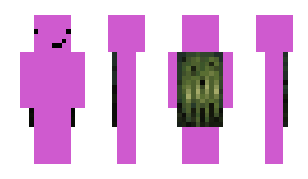 Minecraft skin pearnq