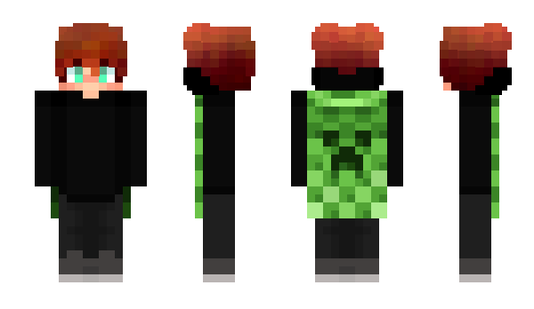 Minecraft skin _Akitsu