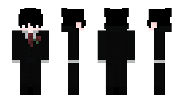 Minecraft skin SEing