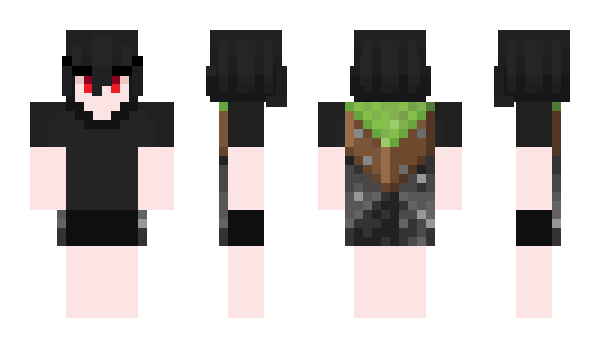 Minecraft skin Zalskin