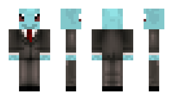 Minecraft skin parku