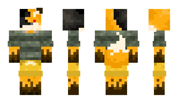 Minecraft skin NatQuitsLife