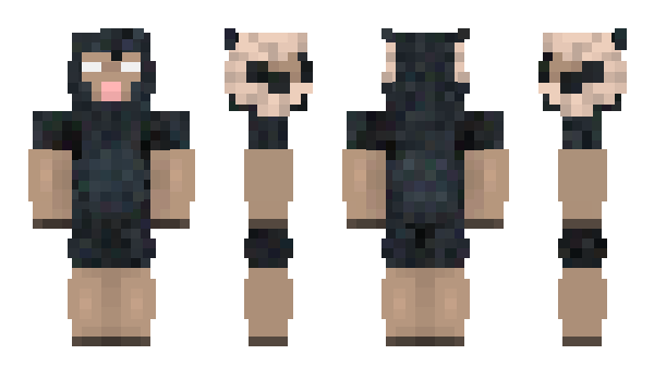 Minecraft skin PunkRox