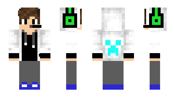 Minecraft skin rebelwolf