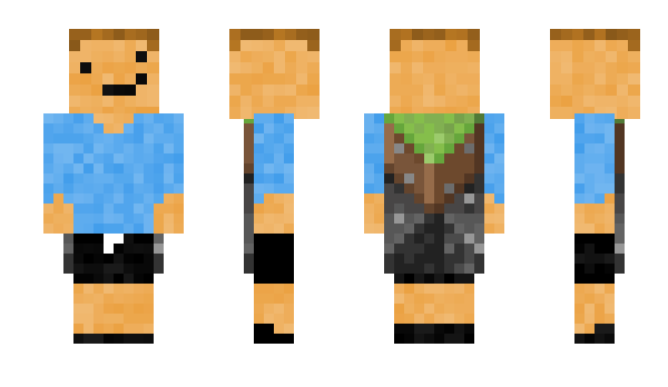 Minecraft skin danj