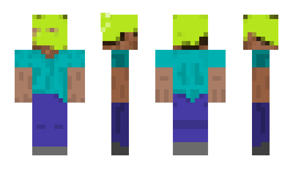Minecraft скін по ніку flaxity
