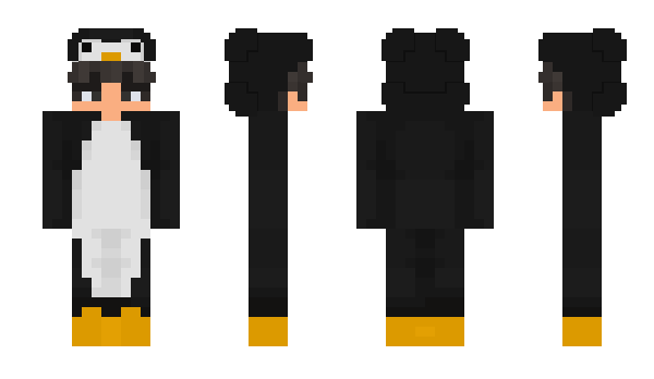 Minecraft skin zkyth