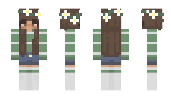 Minecraft skin Avrist