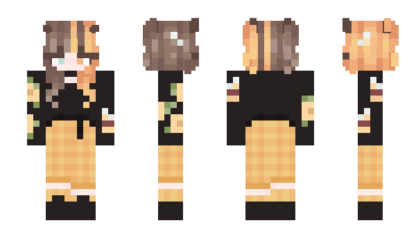 Minecraft skin Auuiji