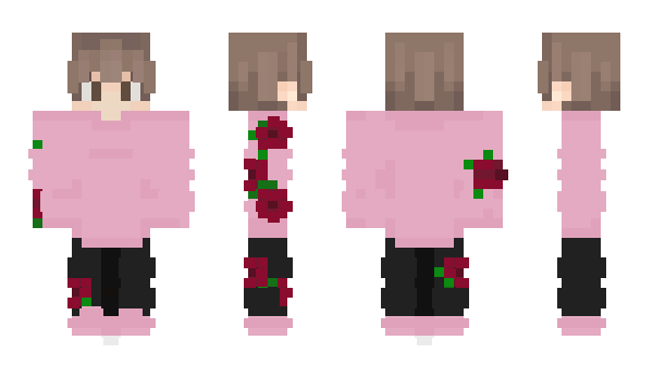 Minecraft skin TWISTYSETH24