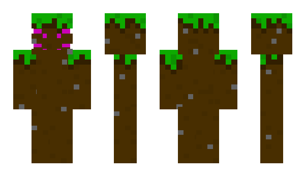 Minecraft skin NuggetKing2