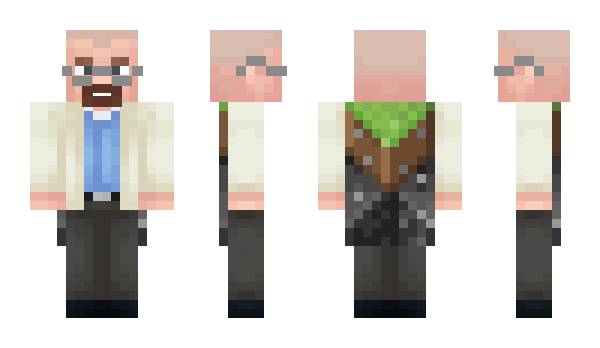 Minecraft skin Ludds