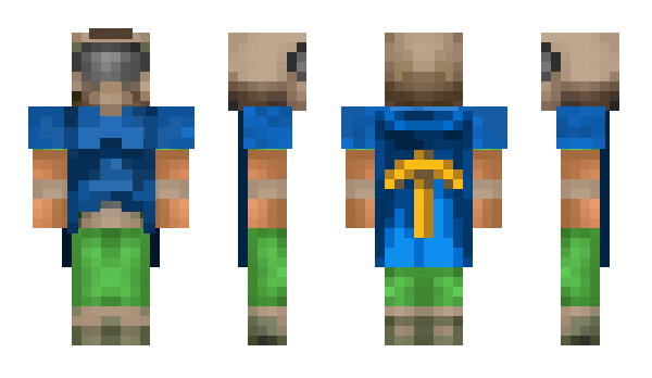 Minecraft skin shaem