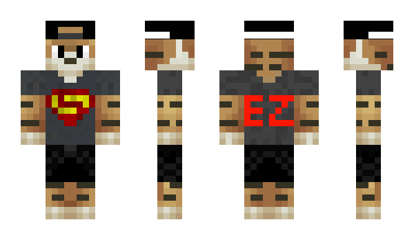 Minecraft skin WhistyWizzardHD