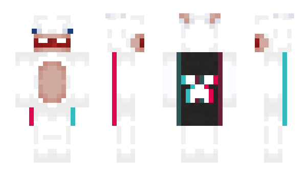 Minecraft skin hopinc