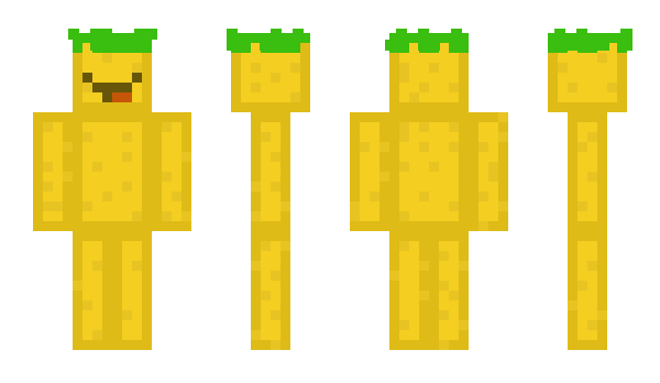 Minecraft skin ValiantsPVFC