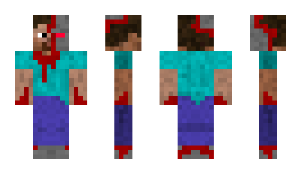 Minecraft skin Wizhi