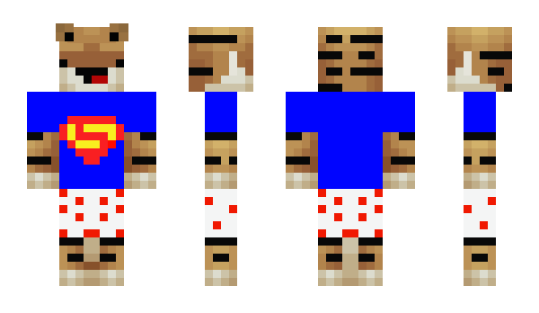 Minecraft skin Cheezychance