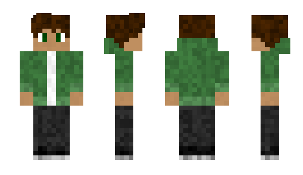 Minecraft skin Timmoti