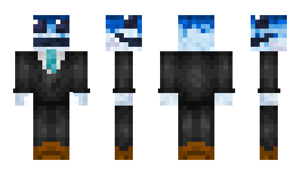 Minecraft skin WTGoose