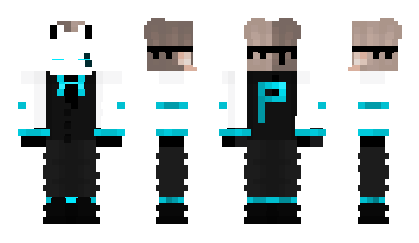 Minecraft skin PubiXD_