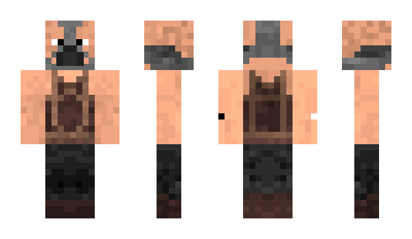 Minecraft skin Poata