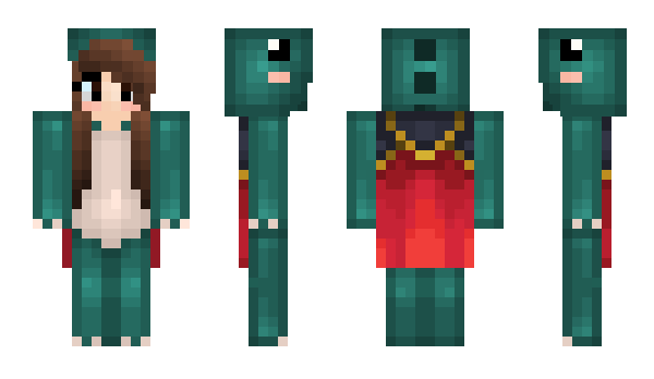 Minecraft skin akoneska