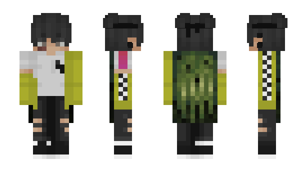 Minecraft skin _lemii