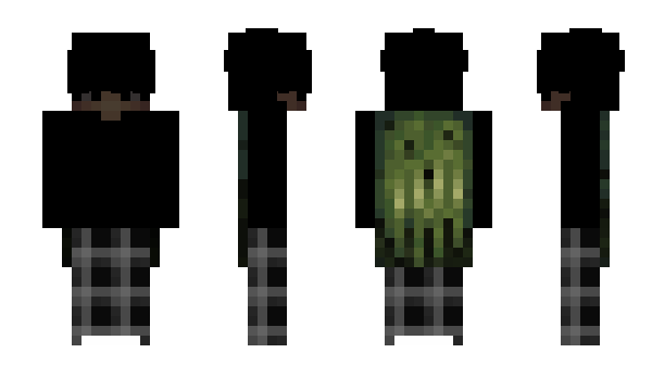 Minecraft скин по нику vtsl