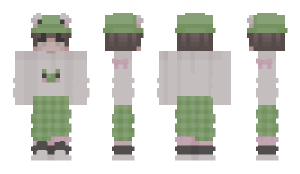 Minecraft skin Hansal