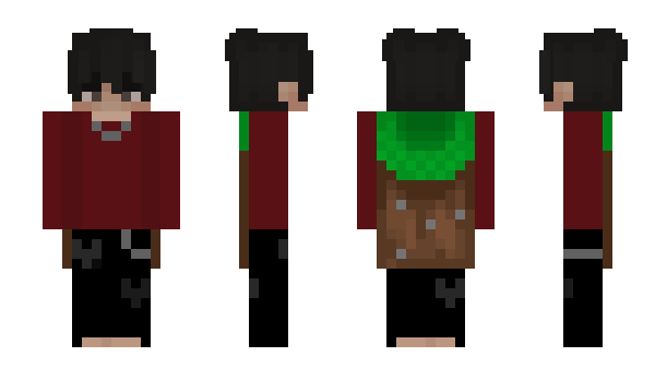 Minecraft skin CraftKartHero