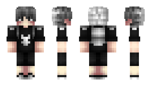 Minecraft skin panther22205