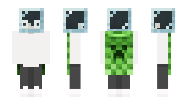 Minecraft skin Invw