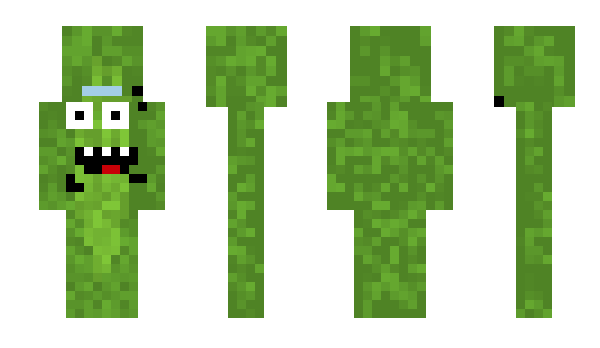 Minecraft skin party_