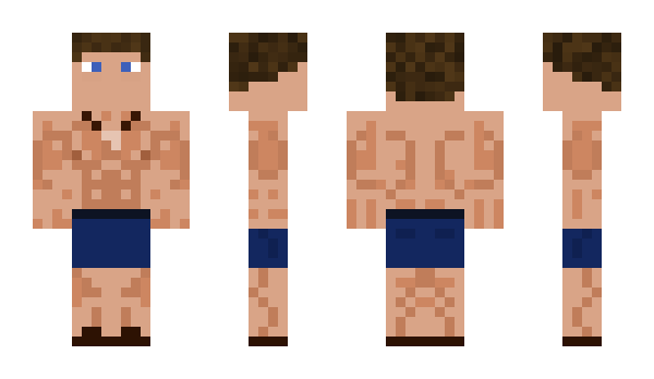 Minecraft skin HootOwl14