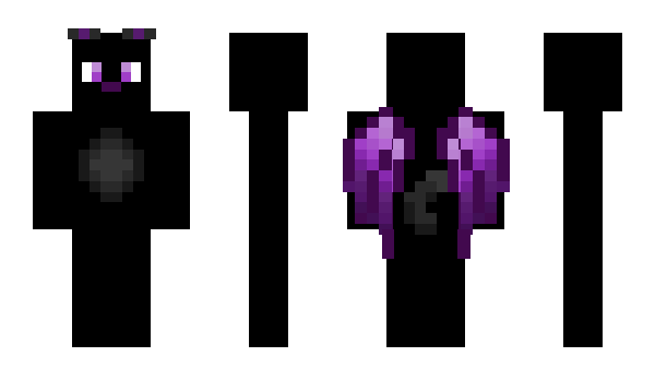 Minecraft skin Radecekvesely