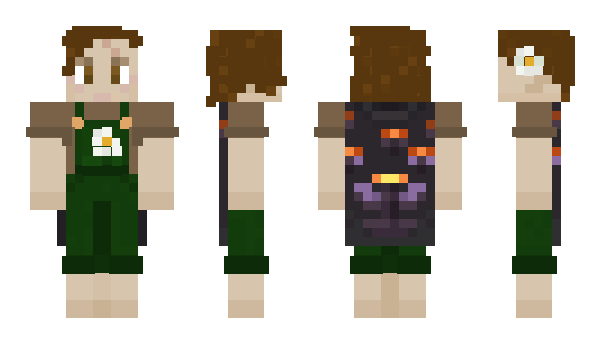 Minecraft skin Turtleina