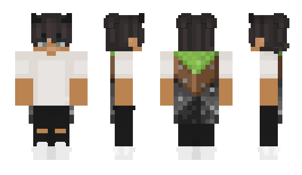 Minecraft skin wilyvm