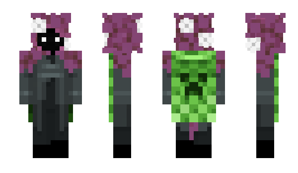 Minecraft скин по нику AnimalMC