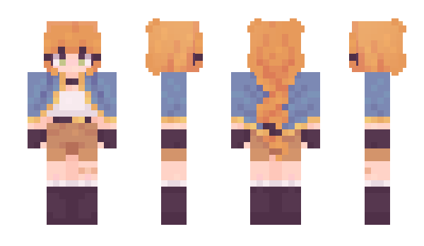Minecraft skin Dandysworlds