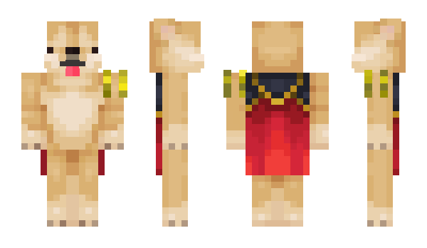 Minecraft skin Coinflip0