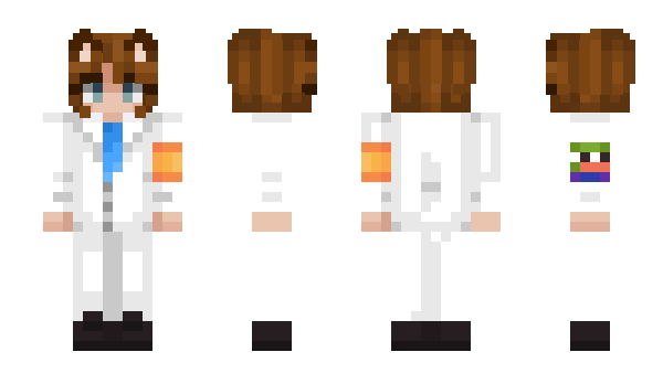 Minecraft skin MetLive11