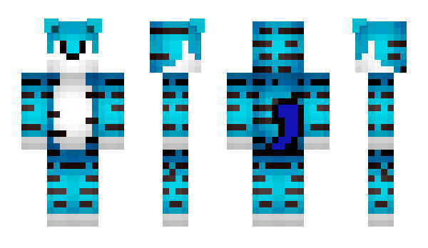 Minecraft skin Blasil